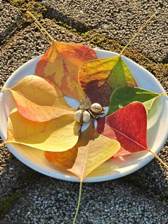 在汉阳的秋天，捡出一个灵感宝库