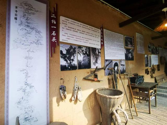 西安市长安区 | “秦岭走笔”之岁月藏芳 古道古村古柏 奏出千年回响