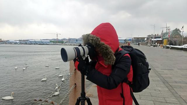 年终盘点丨冬游威海何以情满山海