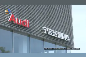 奥迪已经上牌拿证，4S店不让开走，她：销售还这么干图片