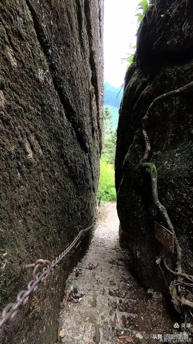 温州酷暑哪里有清凉，当然永嘉四海山！