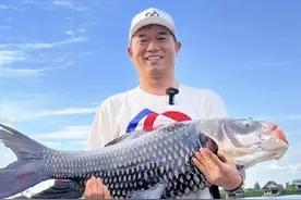 湖北红安网红排名表图片