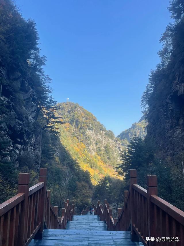 秋日徒步穿越大墩峡，看落叶纷纷