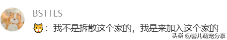 男子吐槽老婆是为了猫才和他结婚的，本来不信，结果哈哈笑喷了！