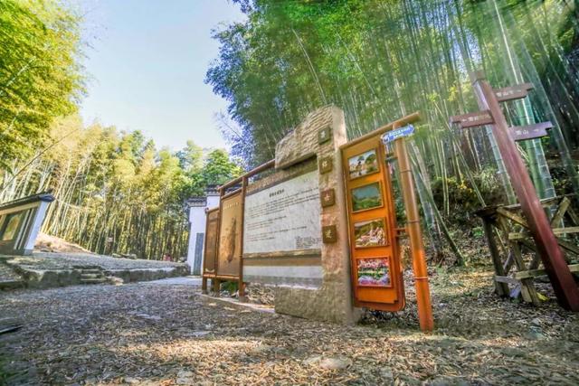 进化藏了个神仙徒步地，出片率极高！