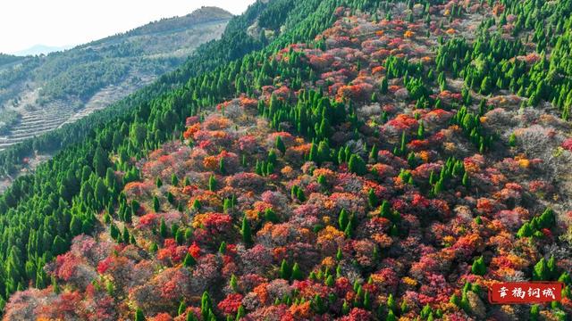 来九龙山，品尝咱钢城深秋的“鸳鸯火锅”