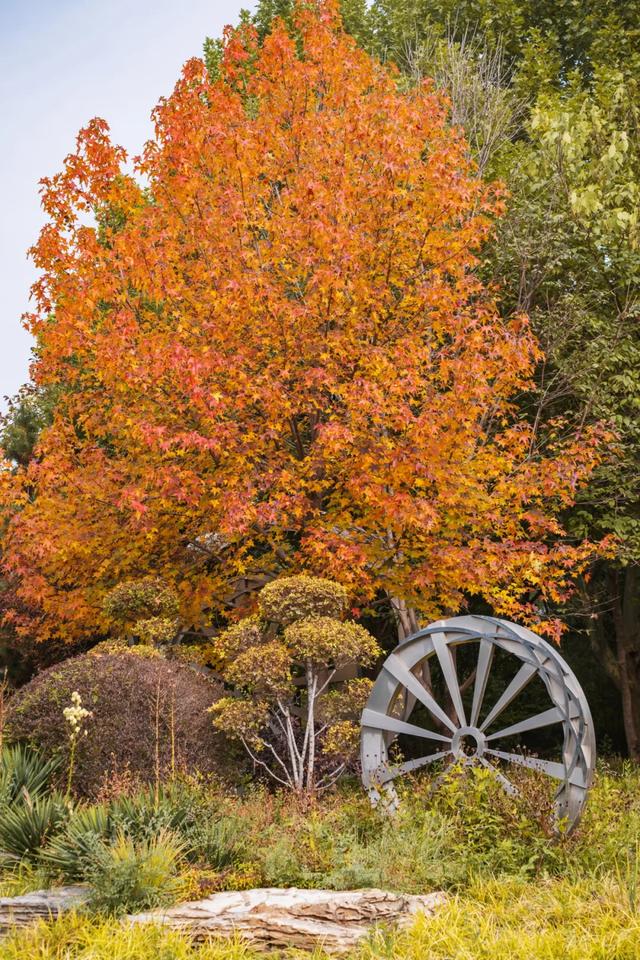 收藏一个秋天，石景山绝美秋色大公开