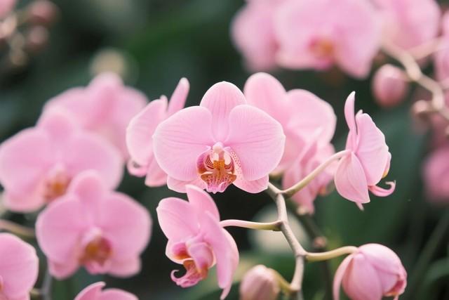 两性关系：为什么女人过了50岁，比年轻时更渴望这三种陪伴？