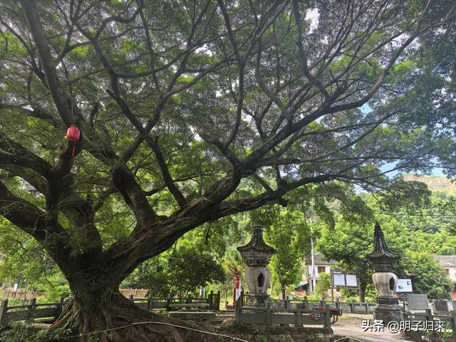 浙山浙水：玉苍山下的大宋流风