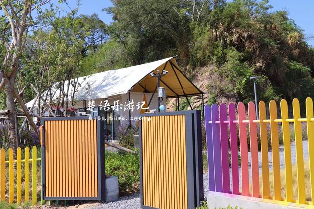 浙江宁波这片山海粉黛花海火了，但旁边风景更美，堪称宁波小新疆