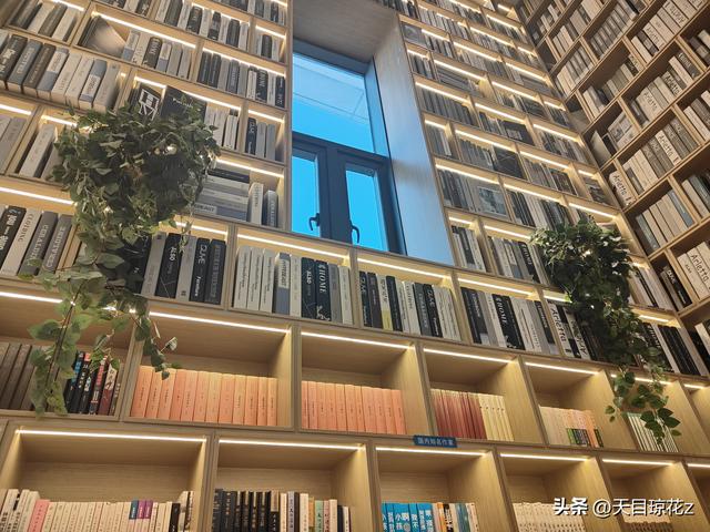 未来空间.未时合集馆