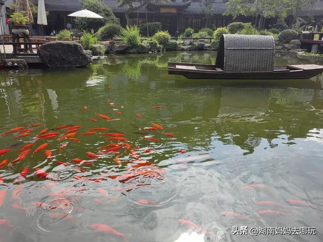 在家门口实现带娃溯溪自由！玩水抓螃蟹buff叠满，谁来谁上头