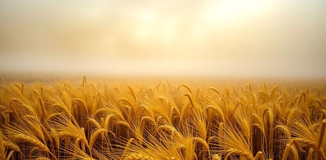 一个人进入上升期的征兆： 锱铢必较