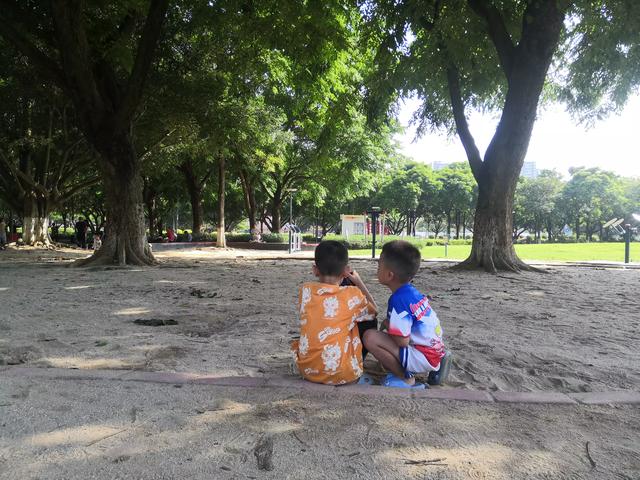为什么我说广州南沙的夏天比我湖北老家凉快呢,今天来解释一下