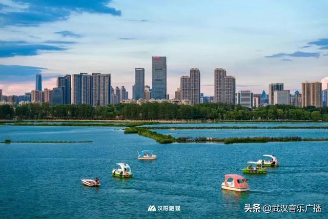 新玩法！武汉墨水湖龙阳湖开通游船夜游