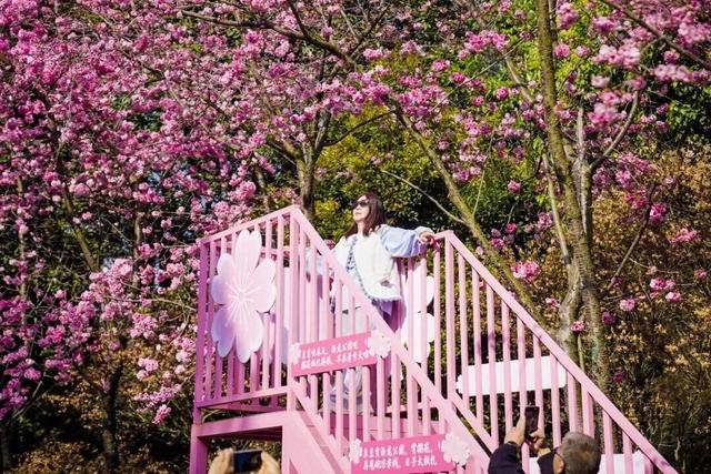 女性免票、男士同享、3.8元特惠→