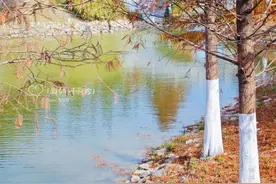 比起沙湾古镇，我更喜欢广州这个“小众”绝美古村图片