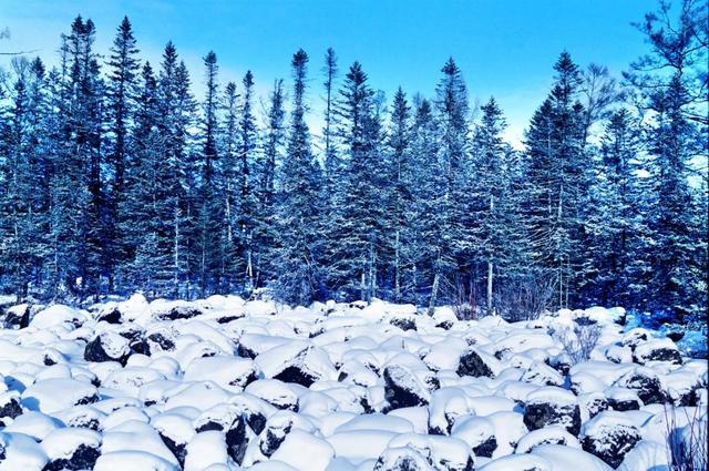 解锁鹤岗冬天:冰雪里的快乐密码