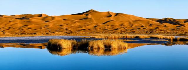 走进魅力北疆 遇见金色阿拉善