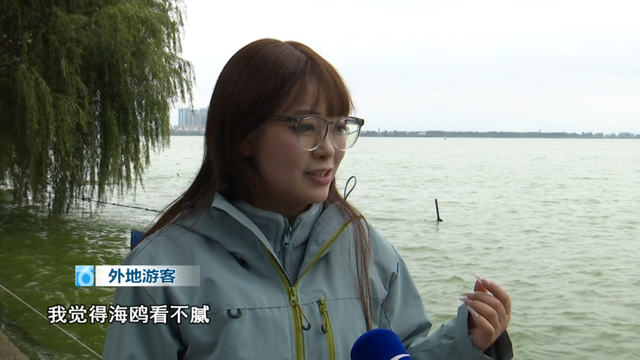 昆明的四季慢生活为何让人上瘾？