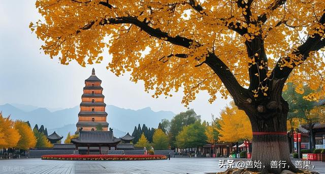 西安11月秋色正浓，以下是最值得打卡的景点和美食推荐：