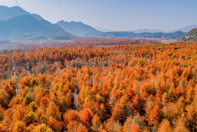 11月-12月，适合秋冬季节自驾的7条线路，藏着不少好风景