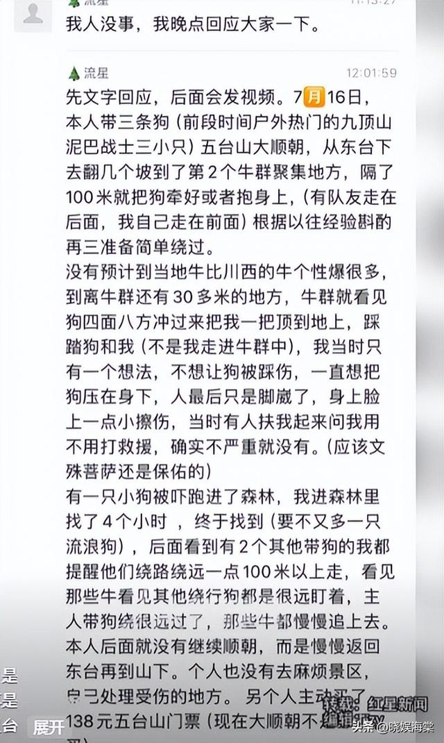 五台山游客被牛顶后：队友爆料，故意让狗挑逗小牛，当事人发声