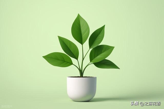 我的2025退休生活是这样过的