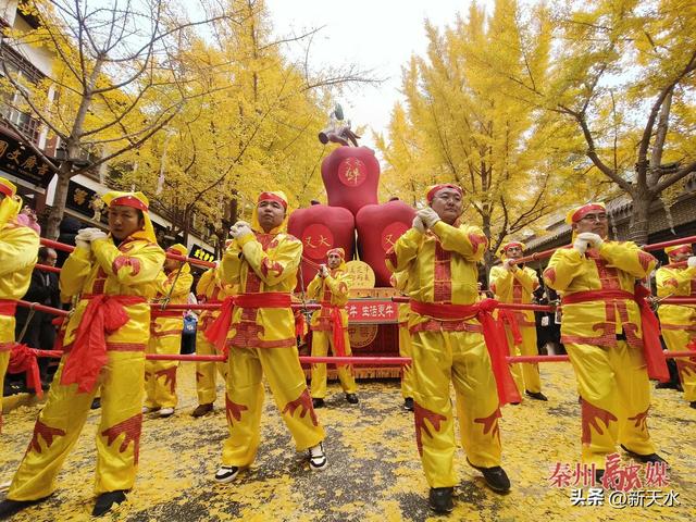 “黄金大道”旅游周落幕 银杏铺笺载盛景 秦州风华留美韵