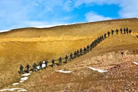 军校毕业生选择了哪些单位？图片