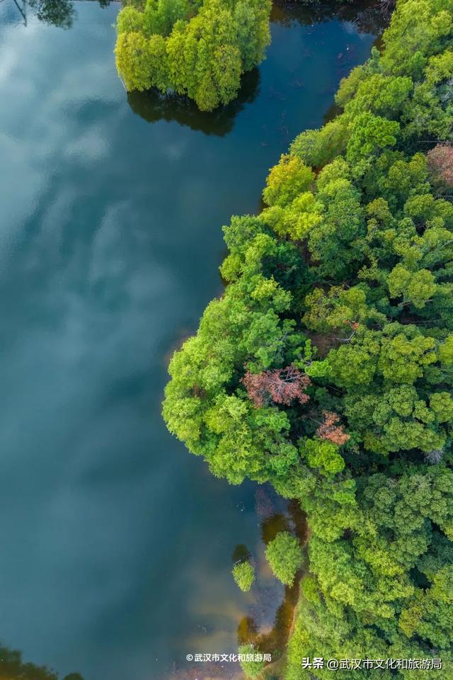 山顶看海，武汉这个机位绝了！