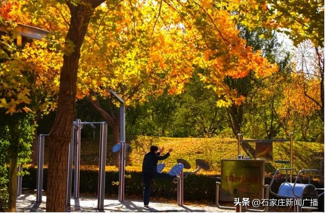 石家庄市城区赏秋最全指南，来啦！