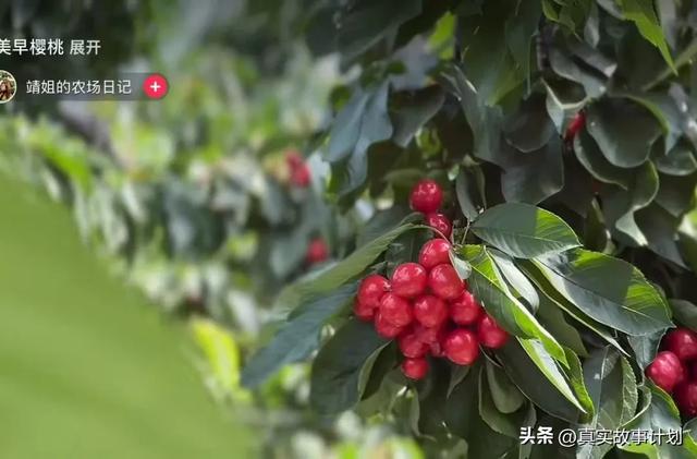 在山东，靠直播带货上牌桌的女人们
