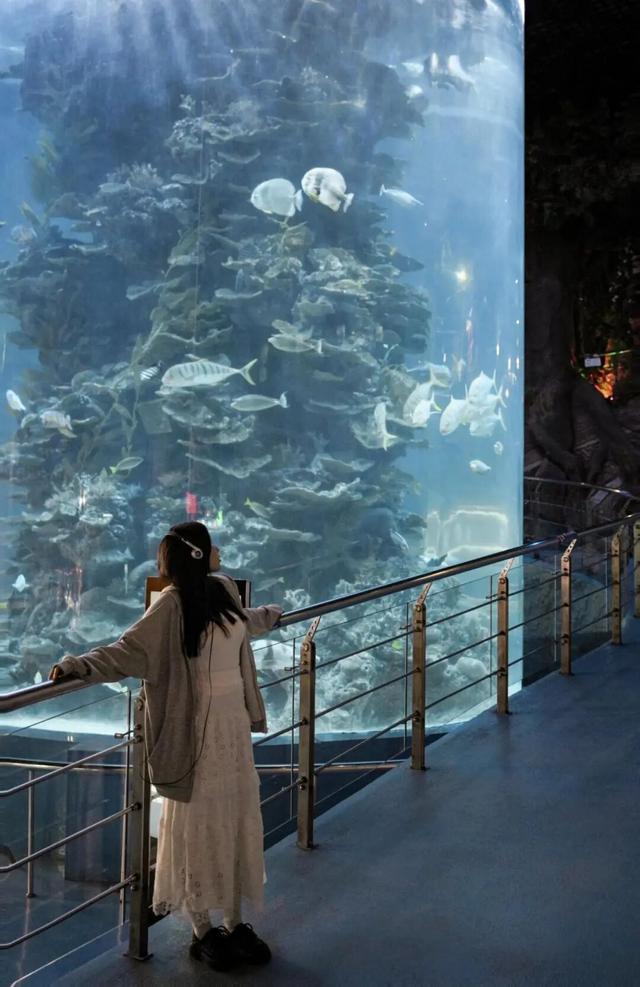 山东这座宝藏小城，坐拥中国四大名楼之一！苏轼、秦始皇都为它打call！