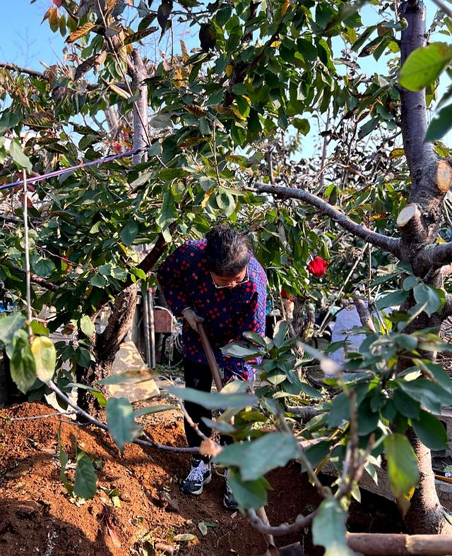 40岁中年女性慢跑半年实录：体重没变，但身体发生了惊人变化！