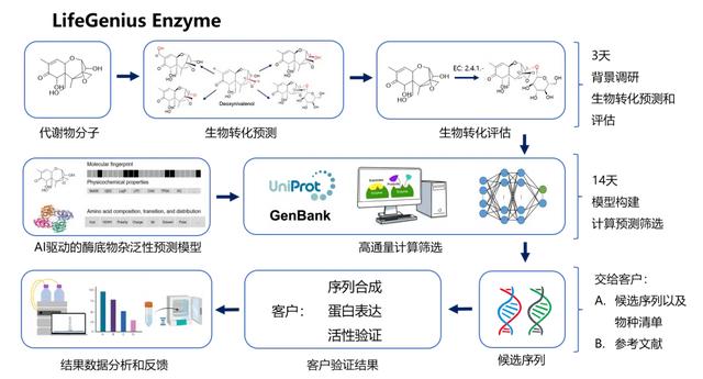 AI合成生物学，是颠覆还是炒作？这四大领域，已率先爆发！