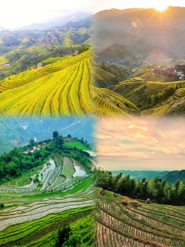 探秘雷山梯田｜这份秋色限定攻略请收好！