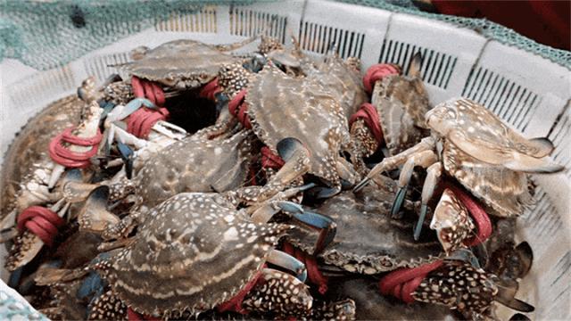 长乐开海季来袭！抢“鲜”一步：体验海鲜“扑腾”+绝美风景大片