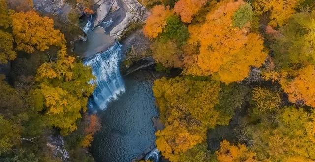 赏秋正当时！自驾来汉中，赴一场秋日视觉盛宴~