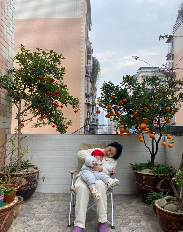 上海一太太，因“院子种柿子”火了，枝头挂满柿子，那叫一个壮观