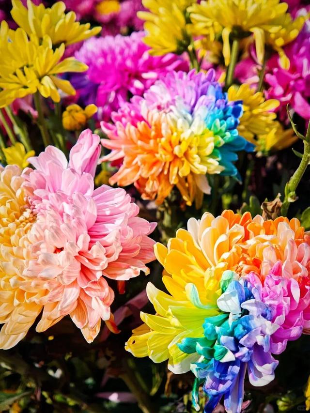 临沂秋日免费打卡全攻略 | 这10个宝藏地遛娃拍照绝了！