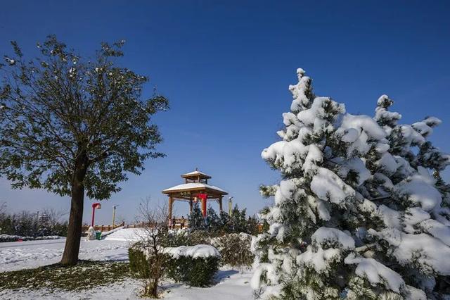 冬之伊始，来潼关寻觅初冬色彩