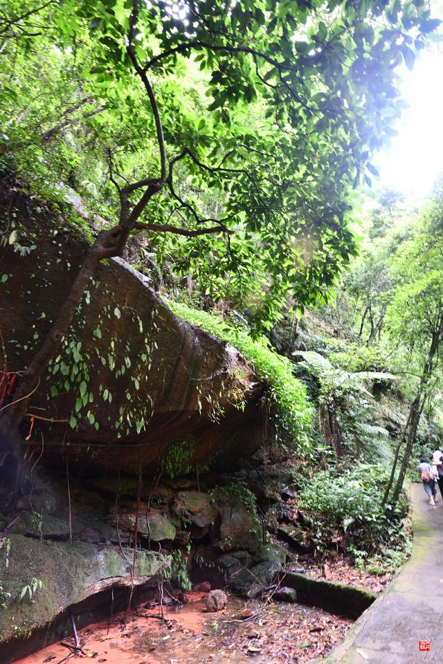 赤水四洞沟瀑布