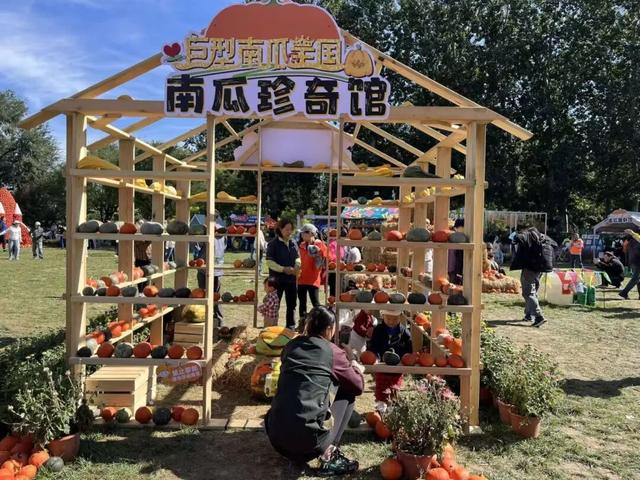 相约世界花卉大观园！丰台将迎巨型南瓜王国、全国菊花擂台赛！