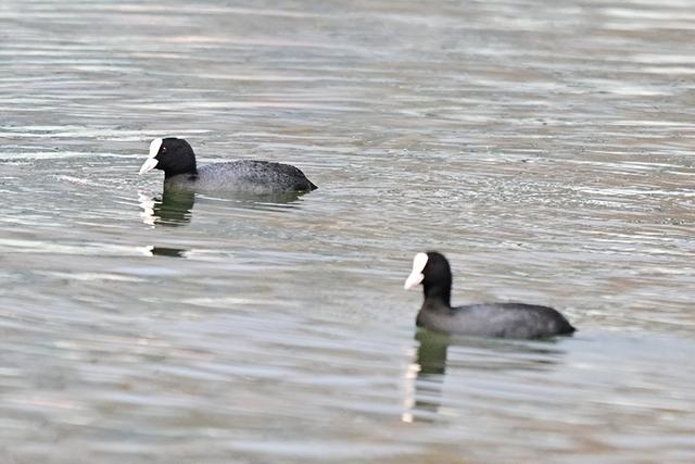 免费！无锡“巨无霸”公园火了