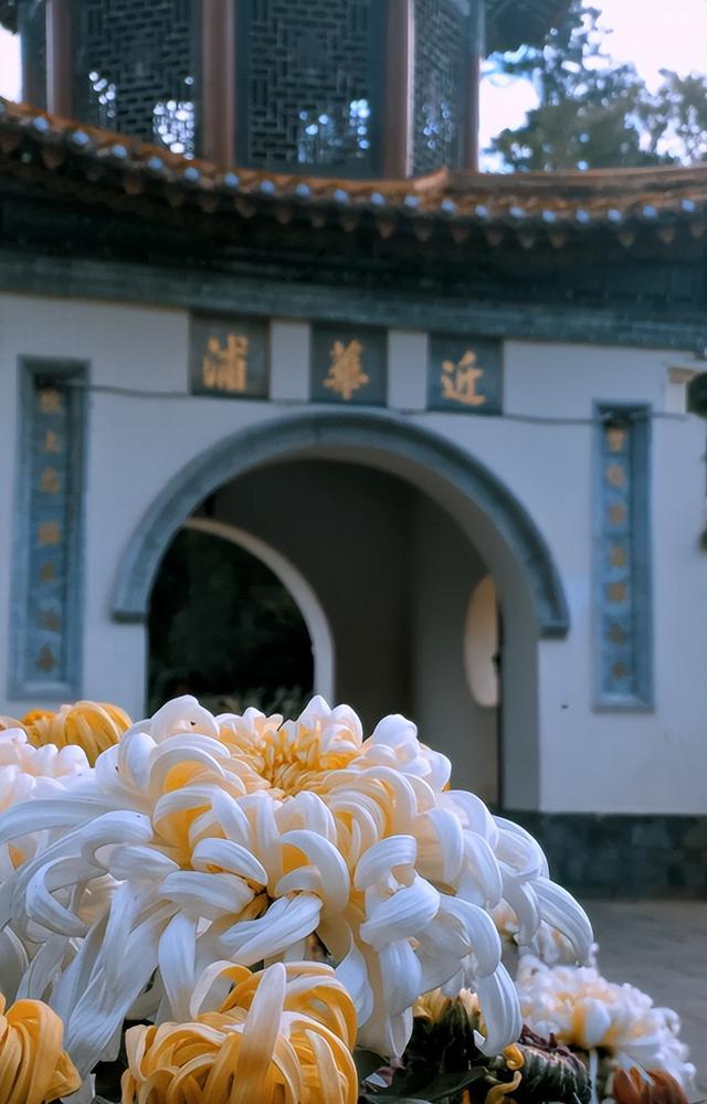 国庆中秋双节同庆，大观公园把古典美学玩活了！