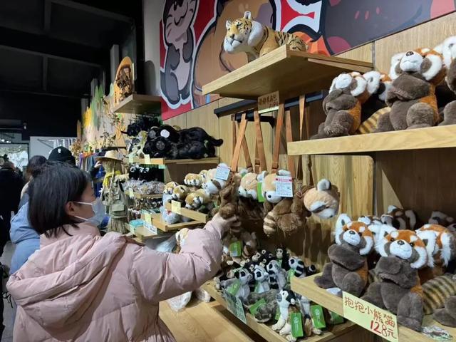 国家生态文明示范区系列报道丨于城市之心，写共生之诗