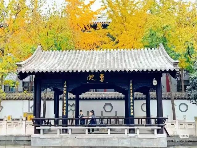 临沂市区赏秋地图出炉！红枫、银杏、落叶道…承包你的秋日朋友圈