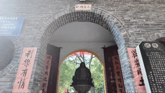 免门票+免停车费！今年红叶季，一定要来一次佛照山！