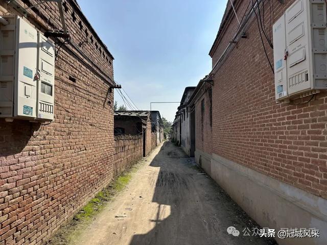 冠县乡韵·兰沃乡大柳邵村